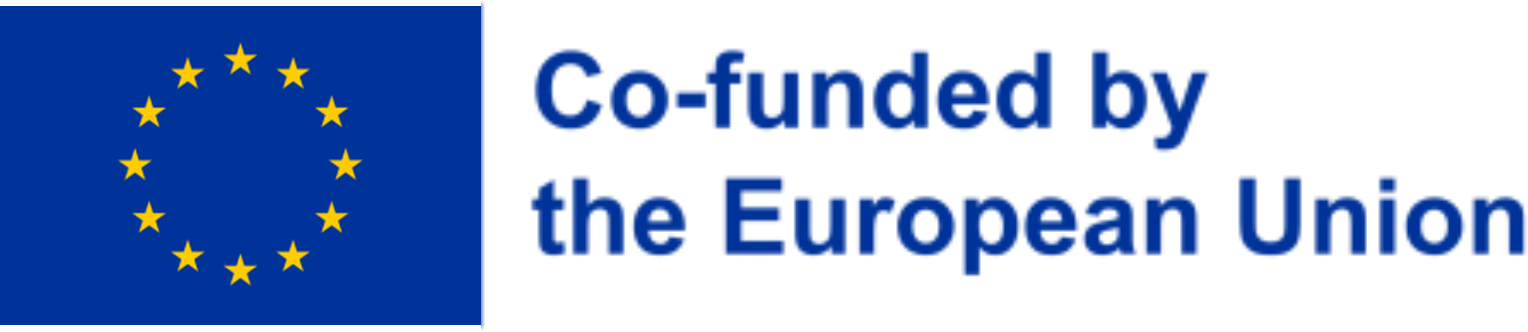 Co-funded by the European Union