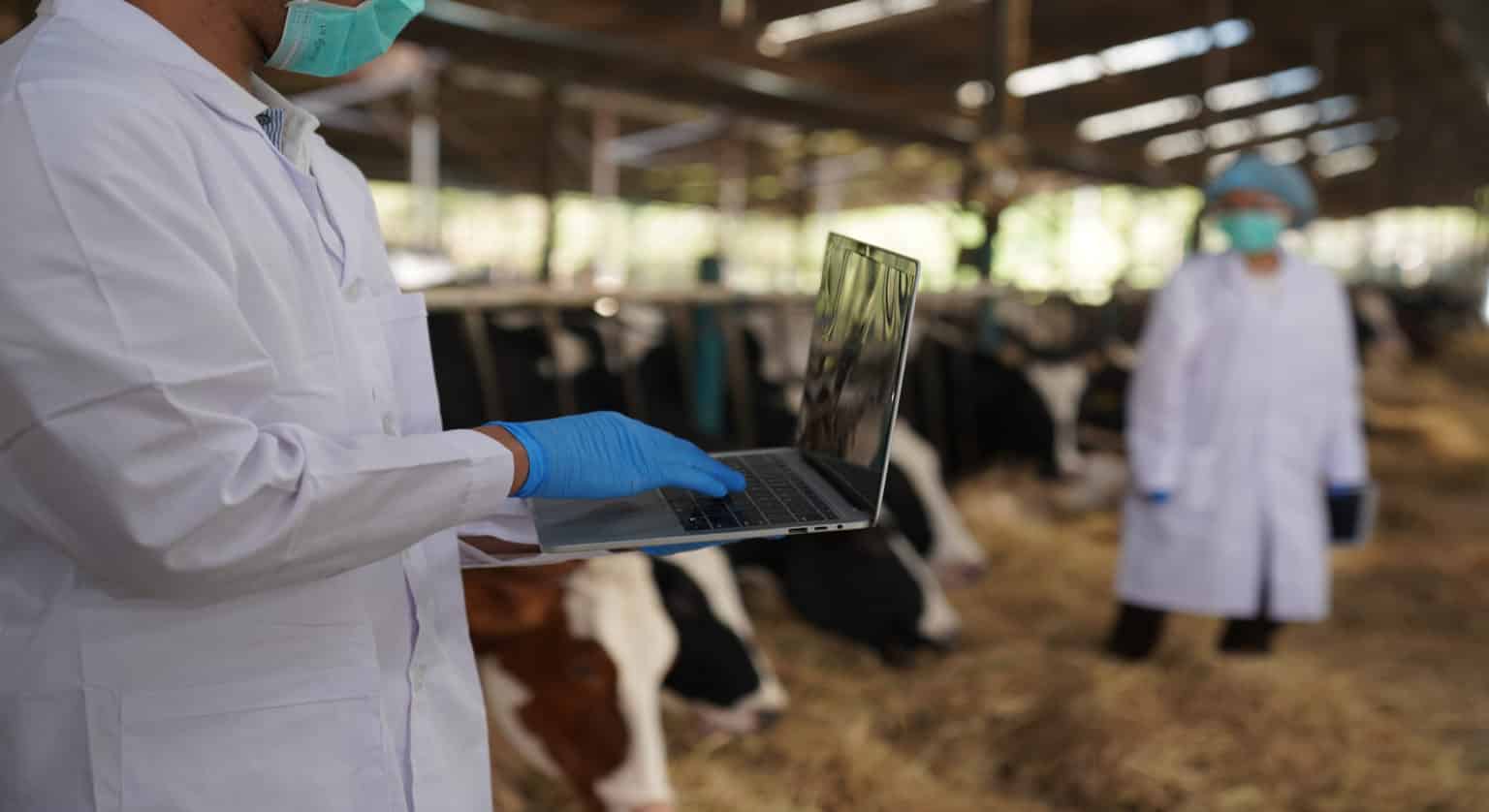 La digitalización en el sector ganadero lyntia